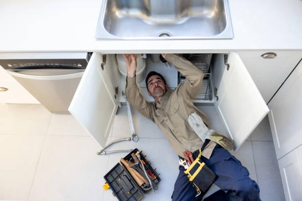 Best Local Plumber Services  in Corydon, IN